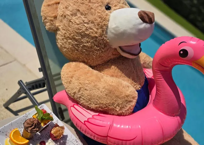 Brit Confort Cadarache Manosque